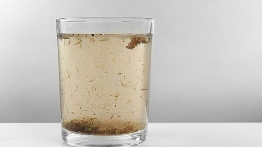 Cuba: alertan de agua contaminada con heces y recomiendan hervirla para el consumo