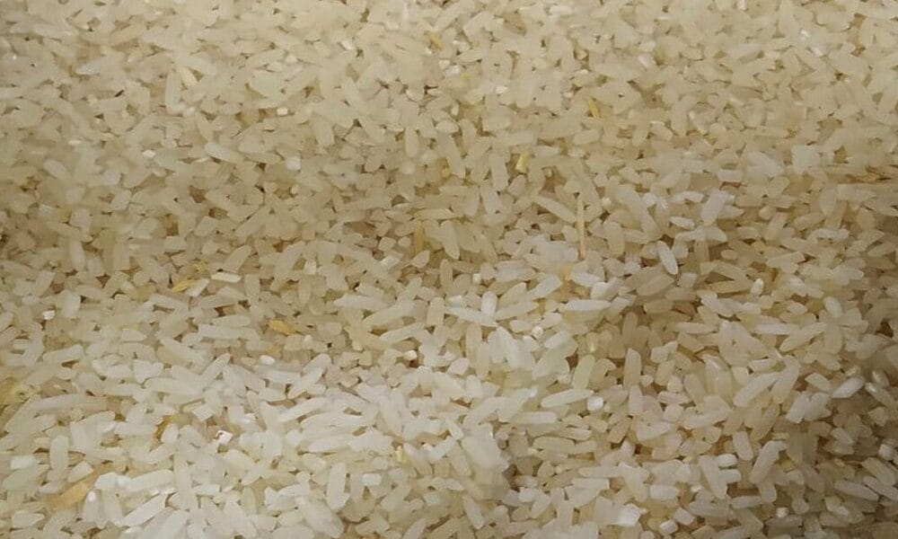 arroz matanzas cuba
