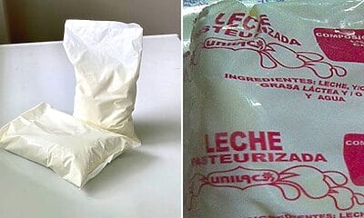 leche mincin
