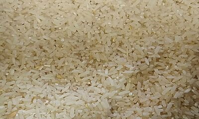 sube precio arroz cuba
