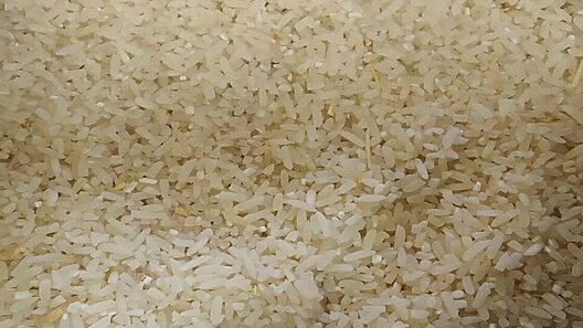 Informan sobre venta de arroz en el Oriente de Cuba