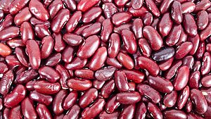 tope precios frijoles colorados