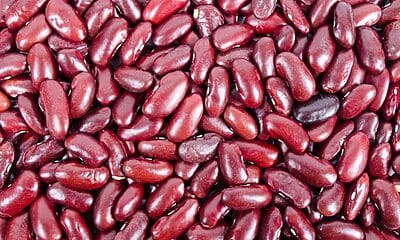 tope precios frijoles colorados