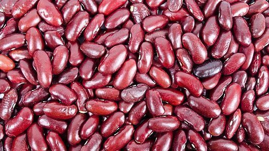 Cuba: tope de precio a los frijoles de producción nacional