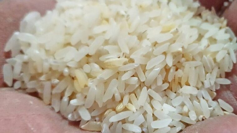 Importante información sobre el arroz de la canasta básica en Cuba