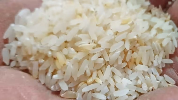 Importante información sobre el arroz de la canasta básica en Cuba