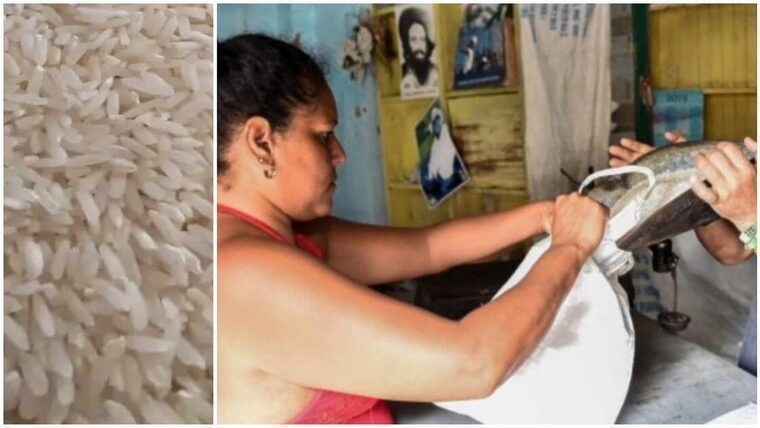 Información de la Canasta Básica en Cuba: Ya se entrega el arroz pendiente de meses anteriores