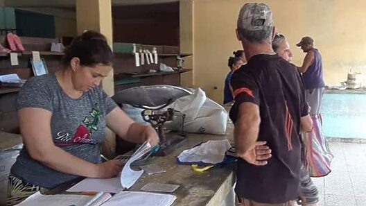 Última entrega gratuita de alimentos en Villa Clara para embarazadas y personas vulnerables este año