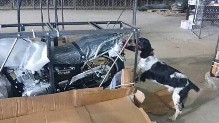 Cuánto hay que pagar por las motos a la Aduana de Cuba