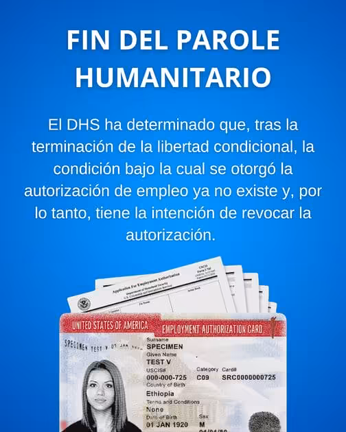 dentro parole permiso trabajo