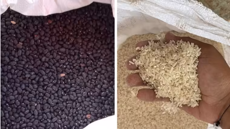 Gobierno cubano fija precios máximos para arroz y frijoles: ¿solución o problema?