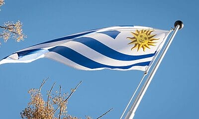 cubanos uruguay