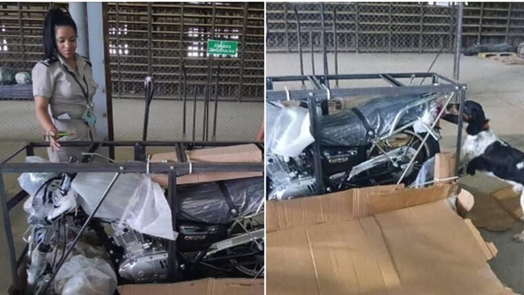 Aduana de Cuba inicia despacho de motos de combustión