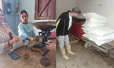 mincin inspeccion