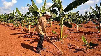 ¿Podrán venderse más tierras en Cuba? Lo que cambia con la nueva ley