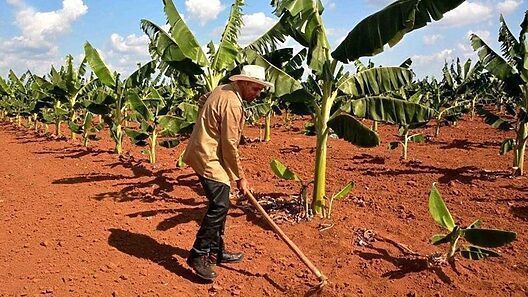 ¿Podrán venderse más tierras en Cuba? Lo que cambia con la nueva ley