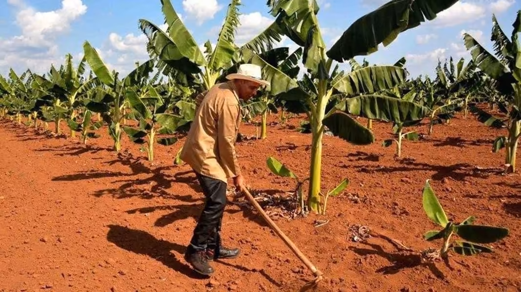 ¿Podrán venderse más tierras en Cuba? Lo que cambia con la nueva ley