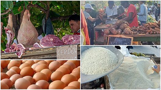 Increíble, así están los precios en Cuba: Lista actualizada