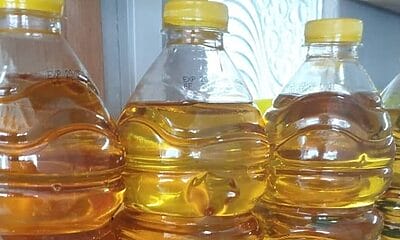 aceite cuba