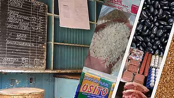 bodegas habana canasta básica