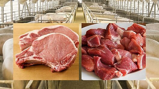 Cuba: cae producción estatal de carne de cerdo y sube el precio en la calle