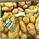 papas dólares cuba frutisel