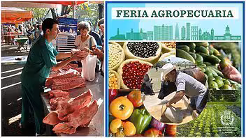 Hoy: Ferias agropecuarias en varios municipios de La Habana