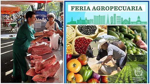 Hoy: Ferias agropecuarias en varios municipios de La Habana
