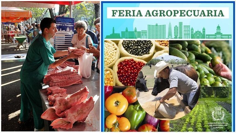 Hoy: Ferias agropecuarias en varios municipios de La Habana