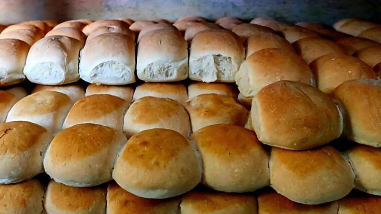 Información sobre irregularidades en la elaboración del pan de la bodega