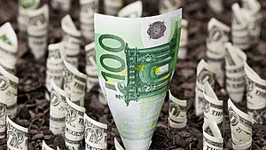 price of dollar euro in Cuba today