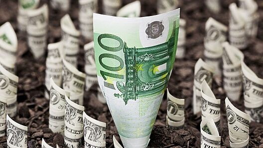 Sube el precio: euro supera por 15 pesos al dólar en el mercado informal cubano de divisas. Tasas oficiales