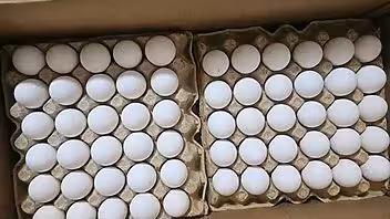 Precio del huevo vuelve a subir a Cuba: “estrategia” del gobierno no frena el alza en los mercados