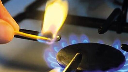 Nota informativa de la Empresa Gas Manufacturado