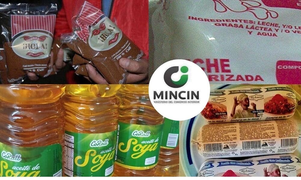 canasta basica mincin actualizacion