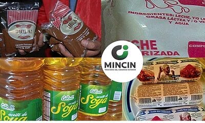 canasta basica mincin actualizacion