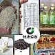 mincin canasta basica