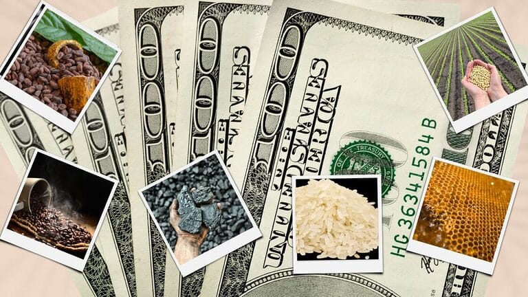 Cuban farmers pay dollars