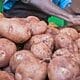 papa en Cuba venta