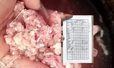 carnico picadillo bodega cubana