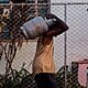 venta gas licuado cuba