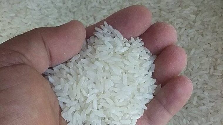 El arroz dispara la inflación en mayo: alerta de economista cubano