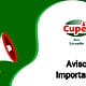 aviso cupet gas licuado