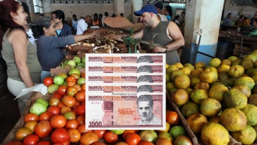 Esto es lo que cuesta comer en Cuba: Lista actualizada de los precios en los mercados cubanos