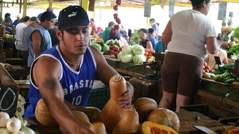 Lista completa y actualizada: Así están hoy los precios de los alimentos en Cuba