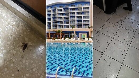 Rusos se quejan de los hoteles cubanos: «Fuimos tratados como cerdos»
