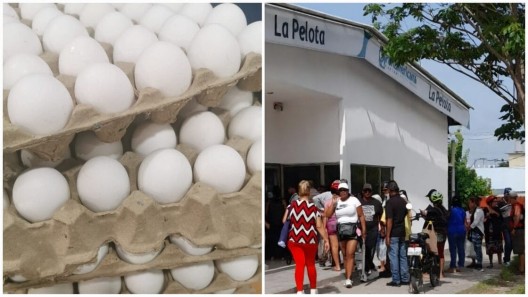 Venta de cartones de huevos en las tiendas en dólares. Este es el precio que genera colas