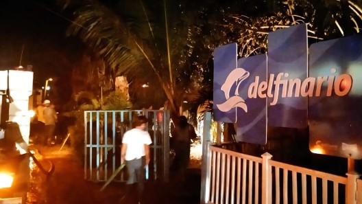 Incendio cerca del Delfinario de Cienfuegos no dejó víctimas ni daños a los delfines