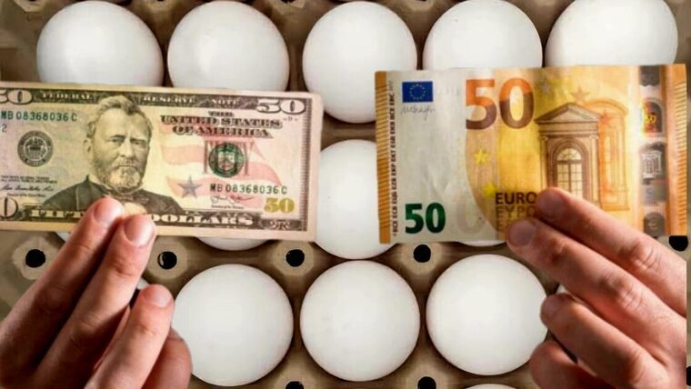 Increíble: ¿Alguna vez imaginaste que el euro y el dólar llegarían a estos valores? Tasas de cambio en Cuba hoy