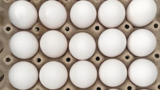 Venta de huevos en tiendas en dólares: escasez, precios altos y denuncias de acaparamiento desde la prensa oficial